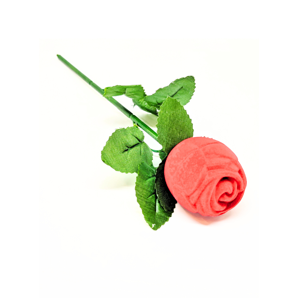 Anello Argento e Zirconi + Confezione Rosa S.Valentino GRATIS
