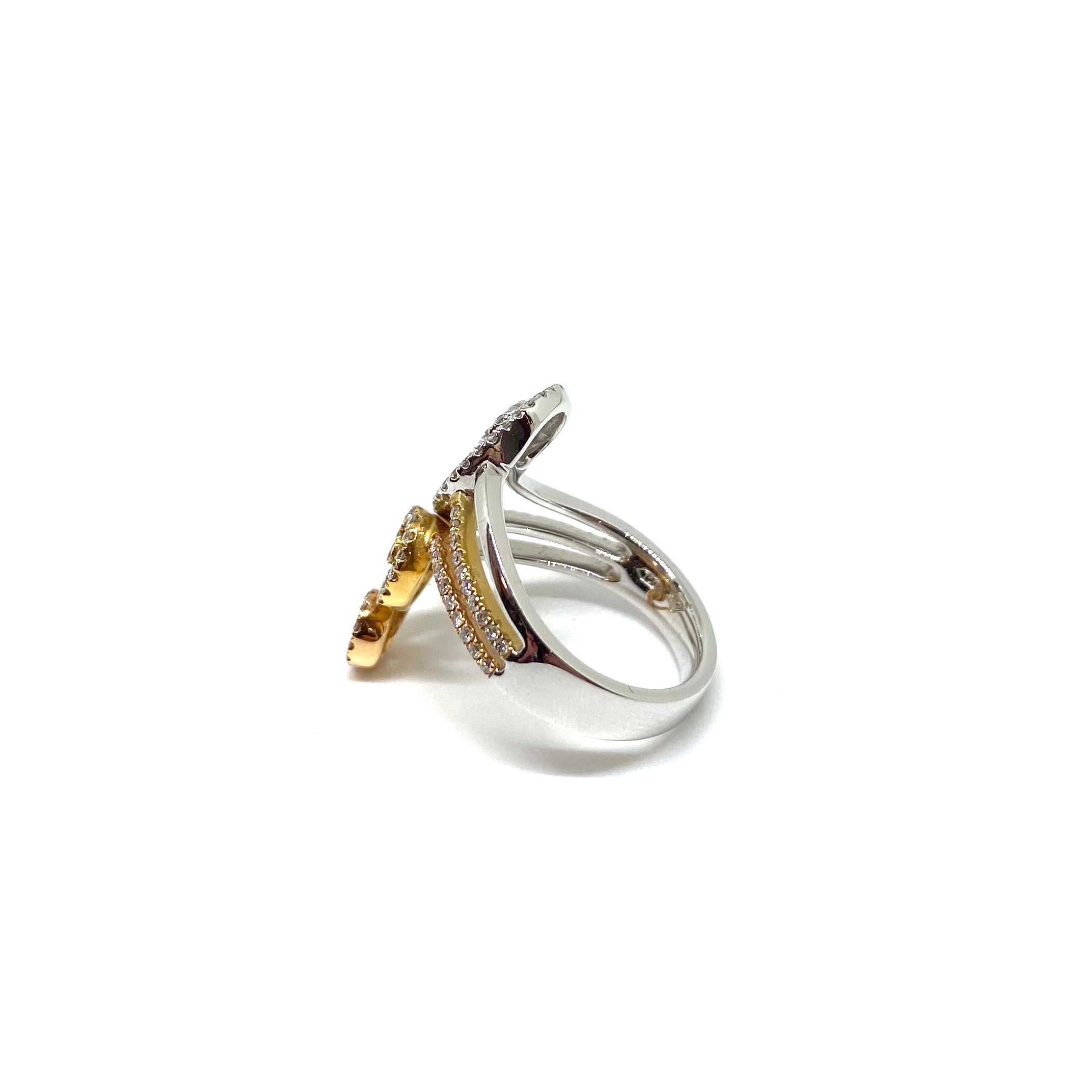 Anello a Fascia - Intreccio