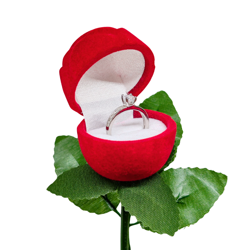 Anello Argento e Zirconi + Confezione Rosa S.Valentino GRATIS