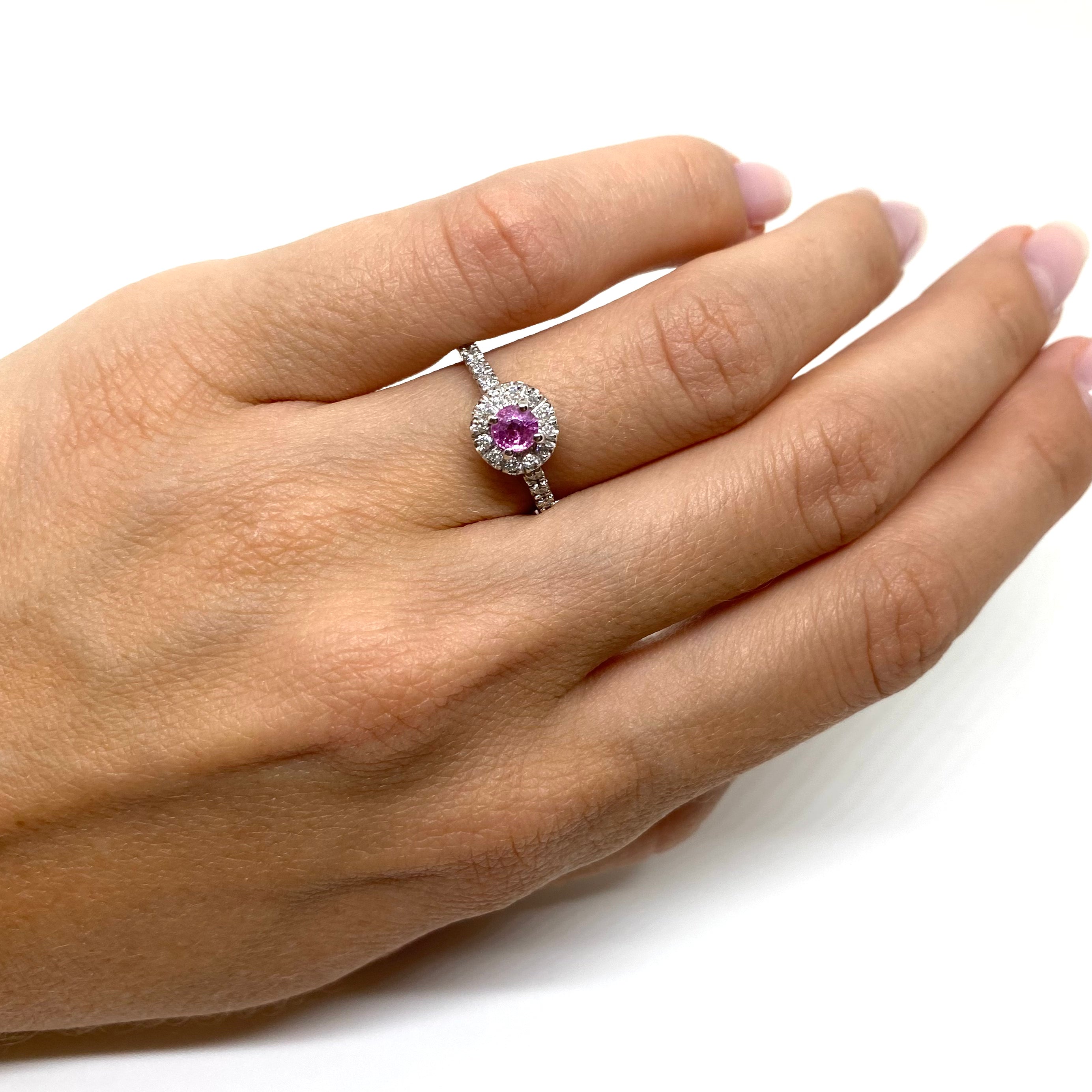 Solitario Halo - Zaffiro Rosa