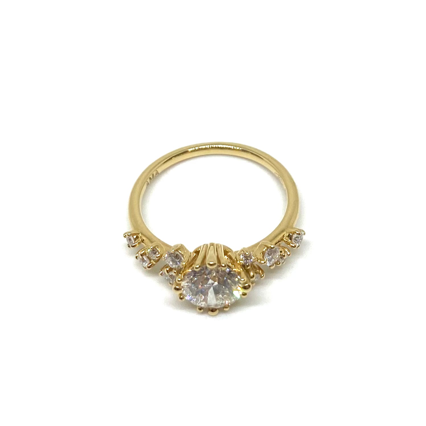 Solitario con Diamanti sul Gambo - Lab Grown