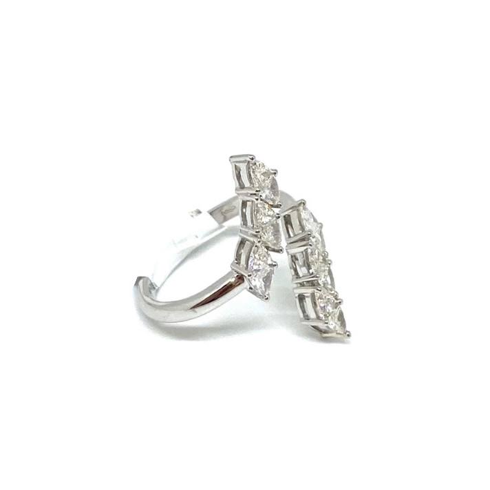 Anello gemello